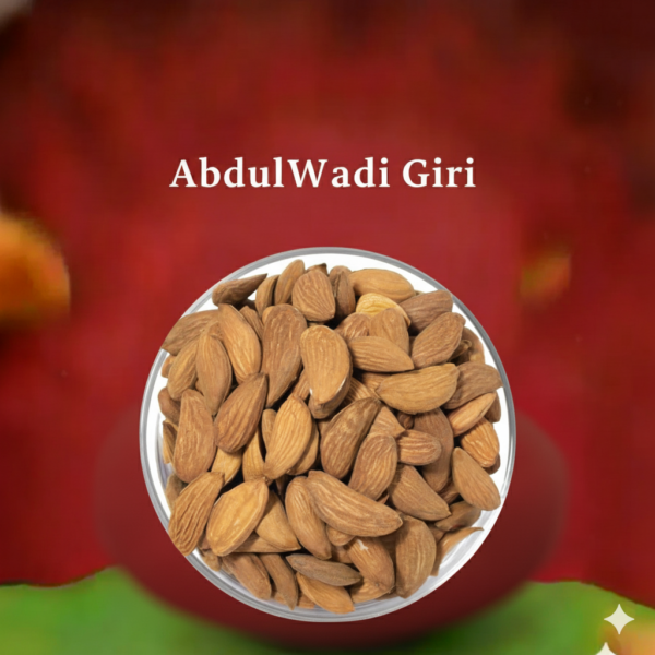 AbdulWadi Giri