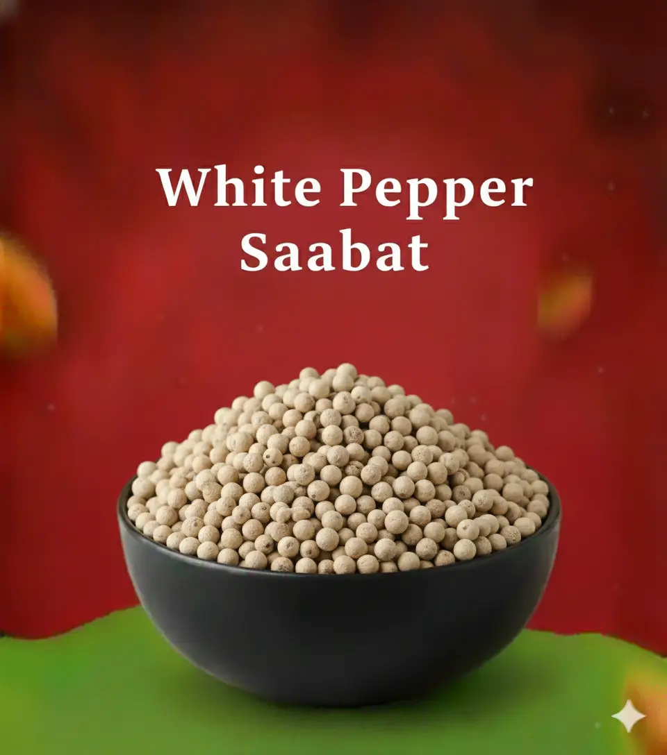 Gemini_Generated_Image_1ub8d11ub8d11ub8