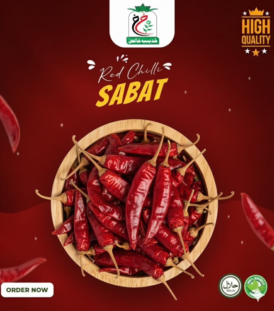 Gemini_Generated_Image_jeb9oljeb9oljeb9 (1)