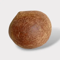 NARIAL GAREE SABIT HK