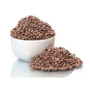 MASOOR SABIT FORMI HK